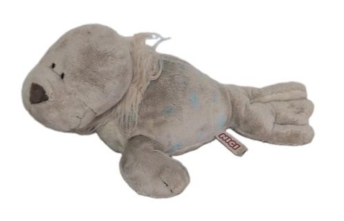 Nici seehund robbe heuler - seehund,