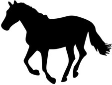 Aufkleber Pferd