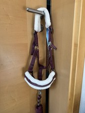 Pferde Halfter mit Strick mit