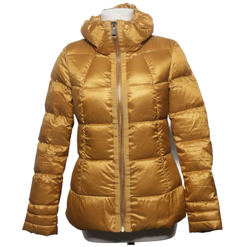 Oliver black label - s.oliver,