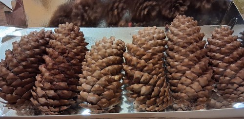 Große tannenzapfen 11 - 6, tannenzapfen,