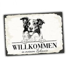 Hundeschild Willkommen Zuhause