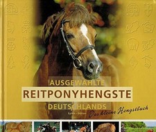 Ausgewählte Reitponyhengste