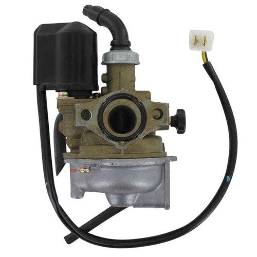 Vergaser pgo big max - vergaser,