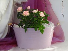 Blechwanne Blumenkübel