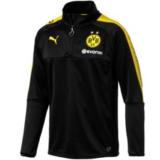 BORUSSIA DORTMUND Technical