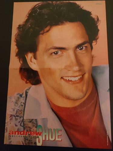 Andrew shue melrose place - andrew,