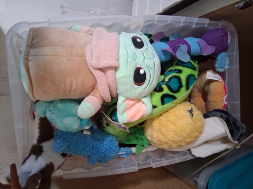Kiste mit kuscheltiere - kiste,