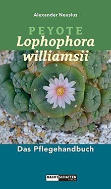 Peyote lophophora - peyote,