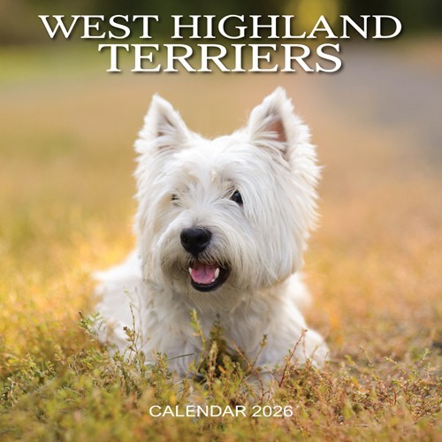 Kalender 2026 west highland - kalender,