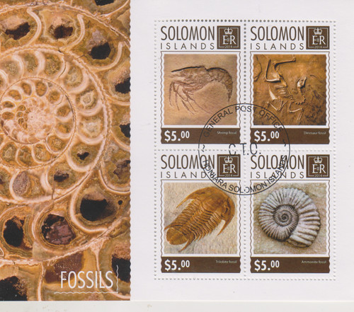 Fosilien solomon islands - fosilien,
