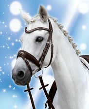 Passier Trense Spirit