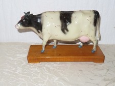 Vintage Modell Holsteiner Friesian Kuh Veterinärmedizin Modell! 50er Jahre!