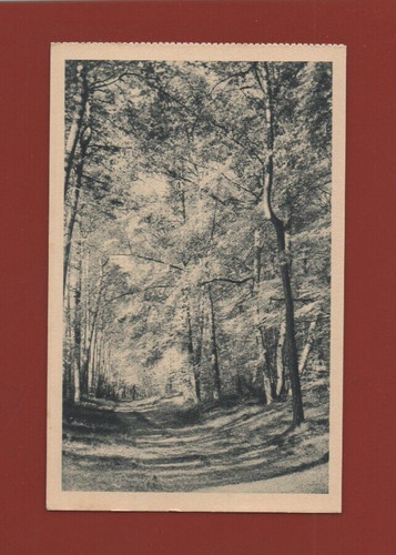 Schwarz weiß postkarte - schwarz-weiß,