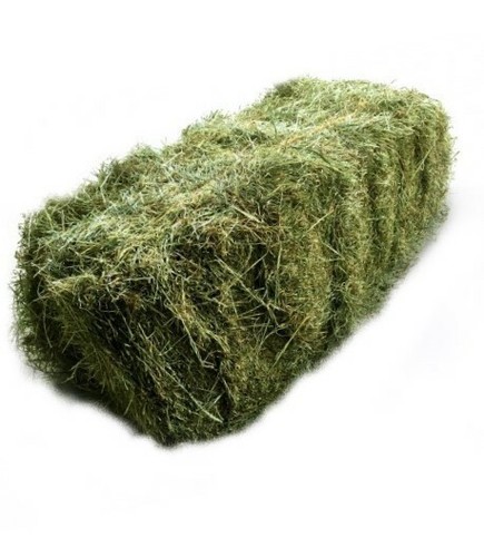 Heu 10kg greenagrar schnitt - heu,