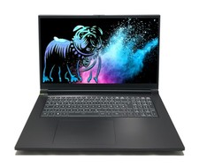 Schenker XMG Focus 17,3" QHD