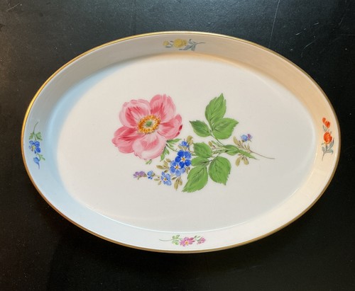 Meissen blume kleines - blume,