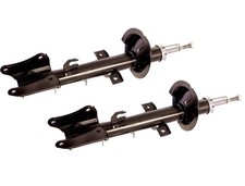 2 Rear Gas Shock Absorbers