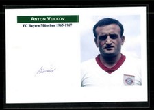 Anton Vuckov FC Bayern