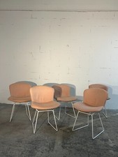 Set of 5 Bertoia Knoll Bertoia Side Chairs – White Frame with Pink Upholstery