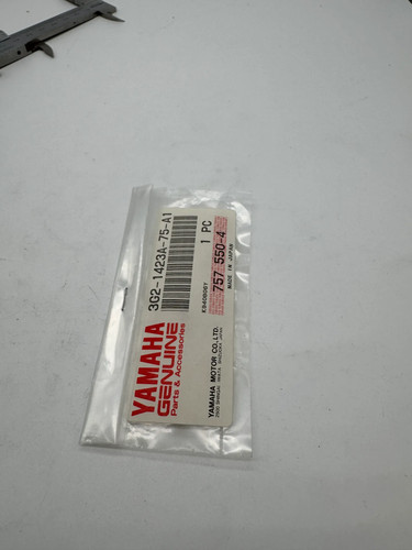 Yamaha fzr1000 1990 3lh2 - 1990,