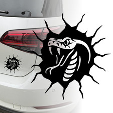 Auto Aufkleber | Schlange aus