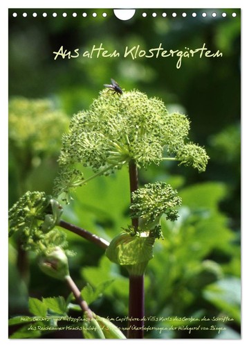 Aus alten klostergärten - aus,