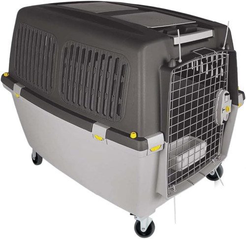 Transportbox gulliver iata - gulliver, 4