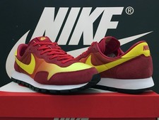 Vintage 2021 Nike Air Pegasus