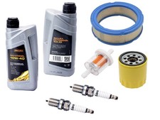 Motor Service-Kit für Briggs