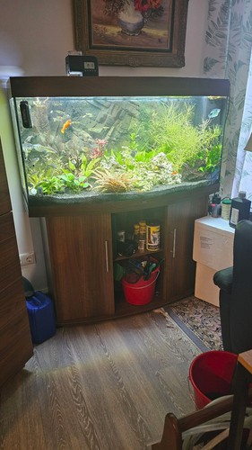 Aquarium komplett set mit - aquarium,