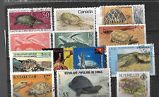 kl. Sammlung Schildkröten(1)