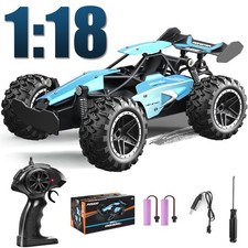 Ferngesteuerter Truggy 2,4GHz 1:18 RC Offroad Auto Monster Truck RTR Wasserdicht