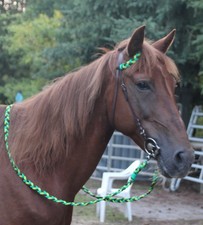 Unikat Leder EINOHRTRENSE