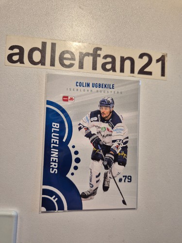 Del 2023 2024 blueliners - 2023-2024,