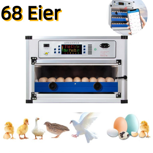 Vollautomatische brutmaschine - vollautomatische,