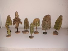 Bäume alt, wohl Luffa , für