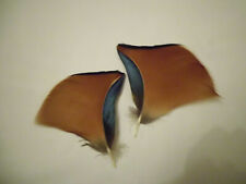 2  Naturfedern von der