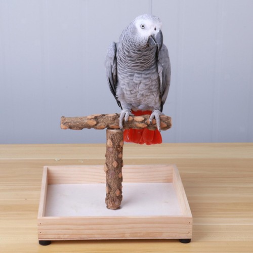 Vogelständer wellensittich - vogelständer,,