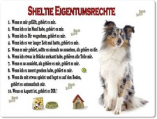 Warnschild - 20x30cm -