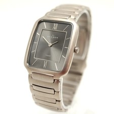 Skagen Solid Titanium 30mm