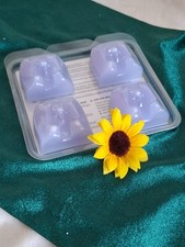 PartyLite Melts für Fragrance