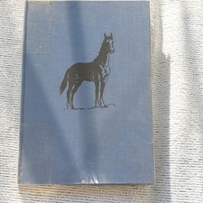 Der schwarze Hengst Bento von