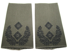 KLETT Rangabzeichen Heer