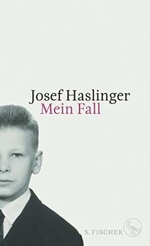 Mein fall von - fall, haslinger,