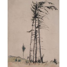 Emil Orlik Karpaten Kiefern