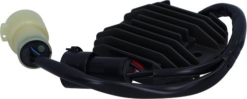 Tourmax regler rgu 419 für - regler,
