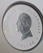 Kookaburra 2026 color World