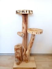 Katzenbaum Kratzbaum Baumstamm Natur Holz Robinie Unikat Handmade Balkon 1,10m