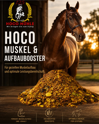 Muskel aufbau booster - &,